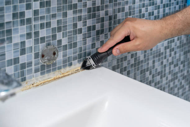 Best White Mold Remediation in Oberlin, OH